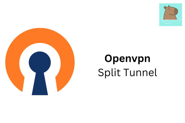 ตั้งค่าให้สามารถเชื่อมต่อ Local Network ได้ ตอนที่เชื่อม openvpn